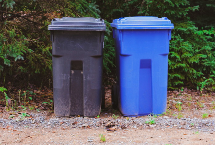Two waste bins, refuse and recycling